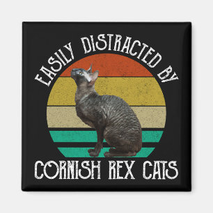 Einfach Ablenkbar Durch Cornish Rex Katzen Magnet