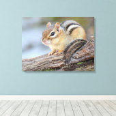 Einfach Adorable Little Chipmunk Leinwanddruck (Insitu (Holzboden))
