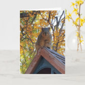 Einfach bei dir einchecken | Niedliches Eichhörnch Karte (Gelbe Blume)