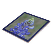 Einfach Bluebonnet-Blume Fliese (Seite)