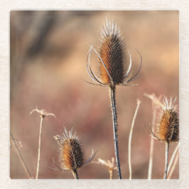 Einfach dünn glasuntersetzer
