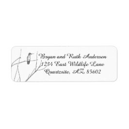 Einfach ein Hummingbird auf einem Stock