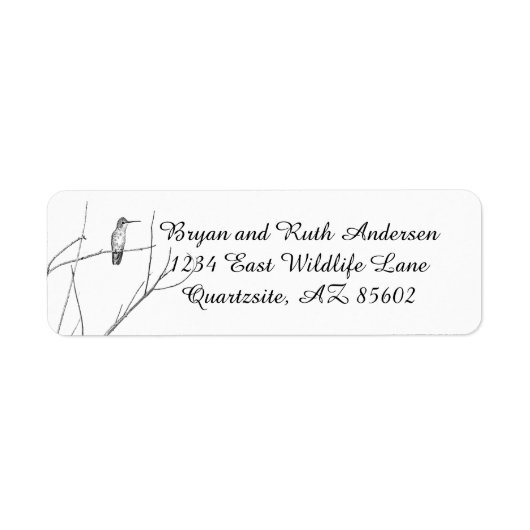 Einfach ein Hummingbird auf einem Stock (Vorne)