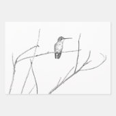 Einfach ein Hummingbird auf einem Stock Geschenkpapier Set (Vorderseite)