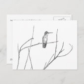 Einfach ein Hummingbird auf einem Stock Postkarte (Vorne/Hinten)