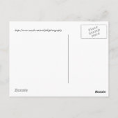 Einfach ein Hummingbird auf einem Stock Postkarte (Rückseite)