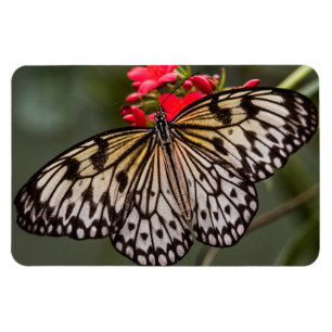 Einfach ein Paper Kite Schmetterling Magnet