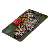 Einfach ein Papierkitschmetterling Magnet (Linke Seite)