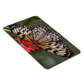 Einfach ein Papierkitschmetterling Magnet (Rechte Seite)