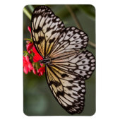 Einfach ein Papierkitschmetterling Magnet (Vertikal)