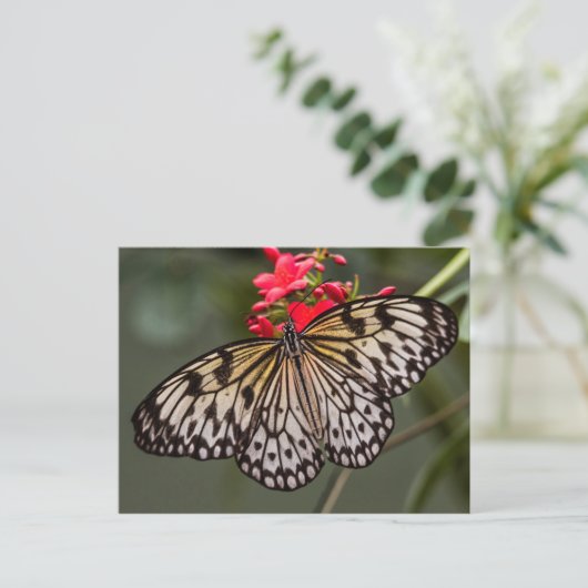 Einfach ein Papierkitschmetterling Postkarte (Stehend Vorderseite)