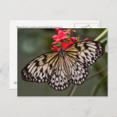 Einfach ein Papierkitschmetterling Postkarte (Vorne/Hinten)