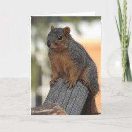 Einfach einchecken und Hallo sagen Karte