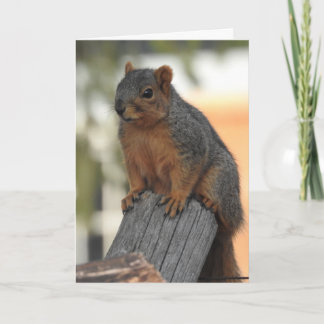 Einfach einchecken und Hallo sagen Karte