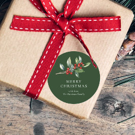 Einfach Elegantes Weihnachtswasser Botanisch Runder Aufkleber