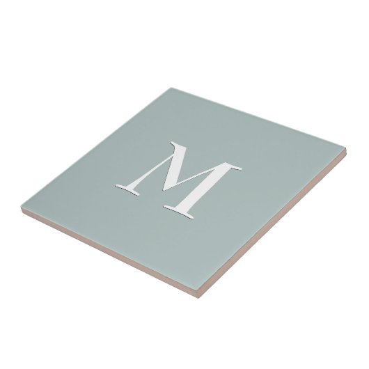 Einfach graue Keramik Fliese (Seite)