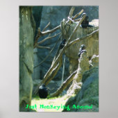 Einfach herumspielen poster (Vorne)