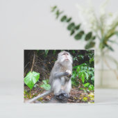 Einfach herumspielen postkarte (Stehend Vorderseite)