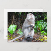 Einfach herumspielen postkarte (Vorne/Hinten)