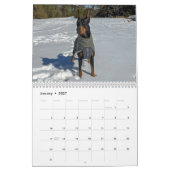 Einfach Hunde Kalender (Jan 2027)