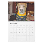 Einfach Hunde Kalender (Feb 2027)