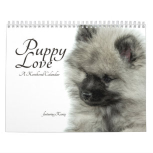 Einfach Liebekeeshond-Welpen-Kalender (Quoteless) Kalender
