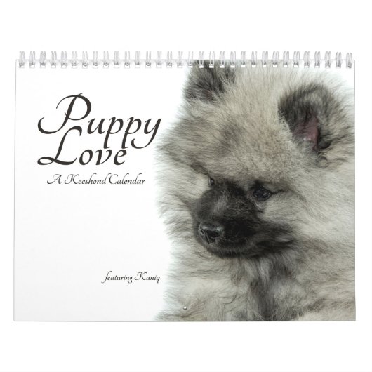 Einfach Liebekeeshond-Welpen-Kalender (Quoteless) Kalender (Titelbild)