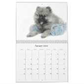 Einfach Liebekeeshond-Welpen-Kalender (Quoteless) Kalender (Jan 2026)