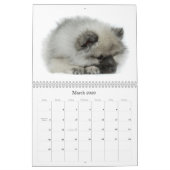 Einfach Liebekeeshond-Welpen-Kalender (Quoteless) Kalender (Mär 2026)