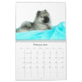 Einfach Liebekeeshond-Welpen-Kalender (Quoteless) Kalender (Feb 2026)