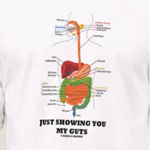 Einfach meine inneren Werte zeigen (Verdauungssyst T-Shirt