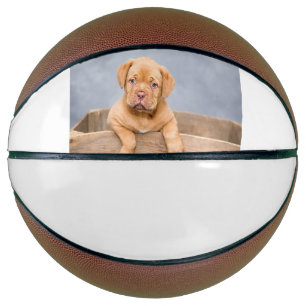 einfach minimal fügen sie ihr haustier foto name b basketball