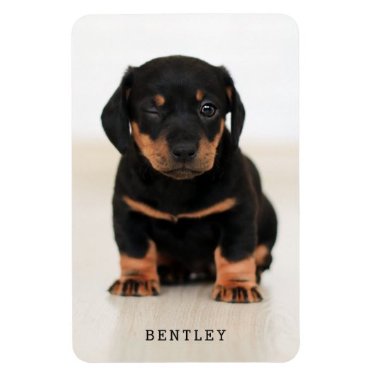 Einfach modernes Full Foto Personalisiert| Schwarz Magnet (Vertikal)