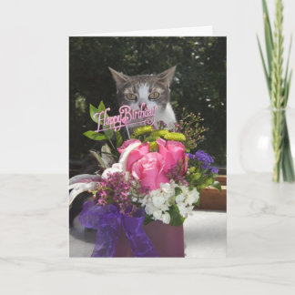 Einfach Niedliche Katze zum Geburtstag poppen Karte