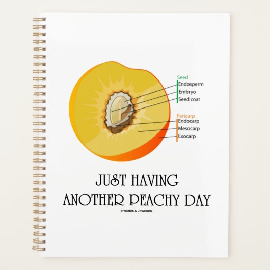 Einfach noch eine Peachy Day Peach Anatomie Planer (Vorderseite)