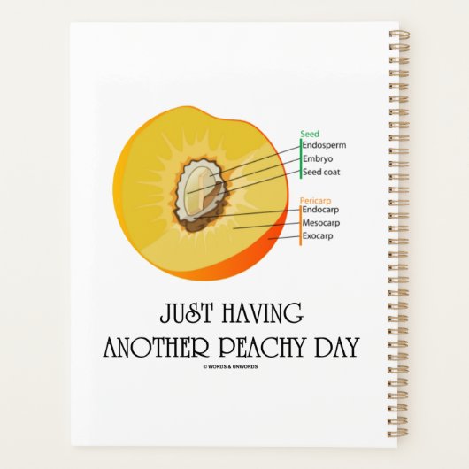 Einfach noch eine Peachy Day Peach Anatomie Planer (Rückseite)