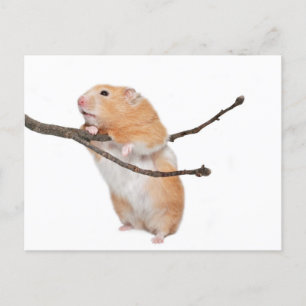 einfach nur herumhängen postkarte