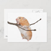 einfach nur herumhängen postkarte (Vorne/Hinten)