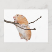 einfach nur herumhängen postkarte (Vorderseite)