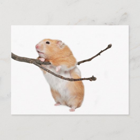 einfach nur herumhängen postkarte (Vorderseite)