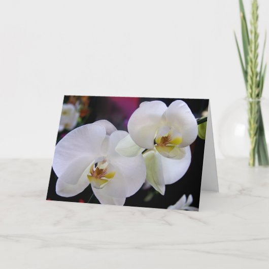Einfach Orchideen Karte (Vorderseite)