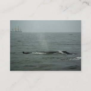 Einfach per Mini-Druck weitergeben Visitenkarte