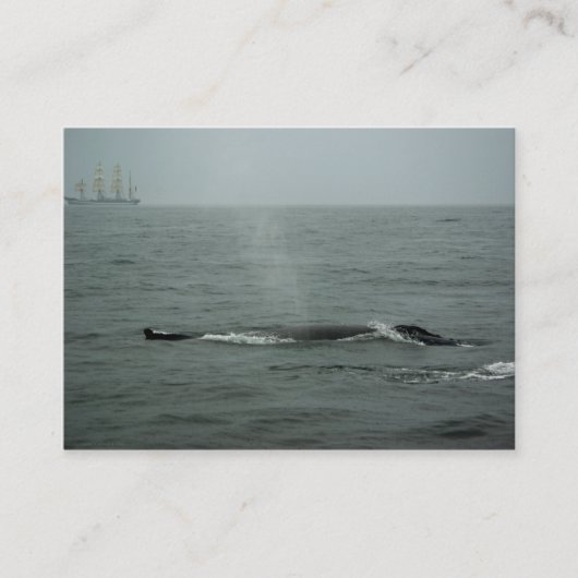 Einfach per Mini-Druck weitergeben Visitenkarte (Vorderseite)