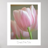 Einfach Pink Tulip Poster (Vorne)