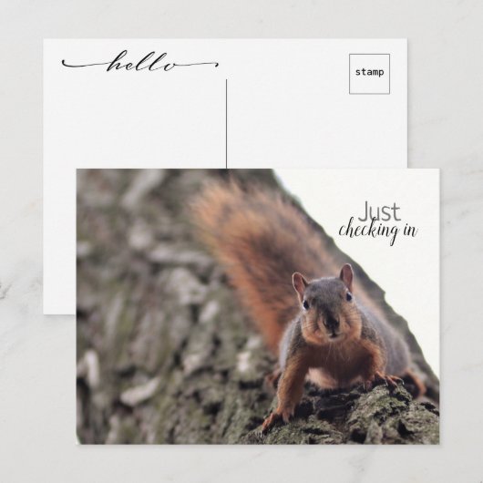 Einfach Postkarte einchecken (Vorne/Hinten)