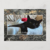 Einfach schwarz auf der Postkarte prüfen (Vorderseite)