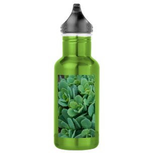 Einfach Sedum Edelstahl-Wasserflasche Edelstahlflasche