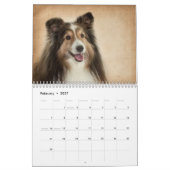 Einfach Shelties Kalender (Feb 2027)
