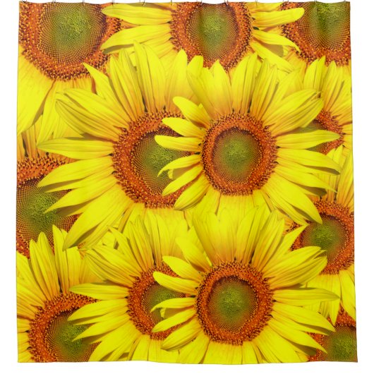 Einfach Sonnenblumen Duschvorhang (Vorderseite)
