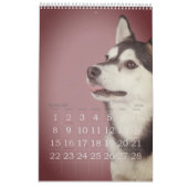 Einfach spielbar Niedlich und schwindlig Hundejahr Kalender (Feb 2026)